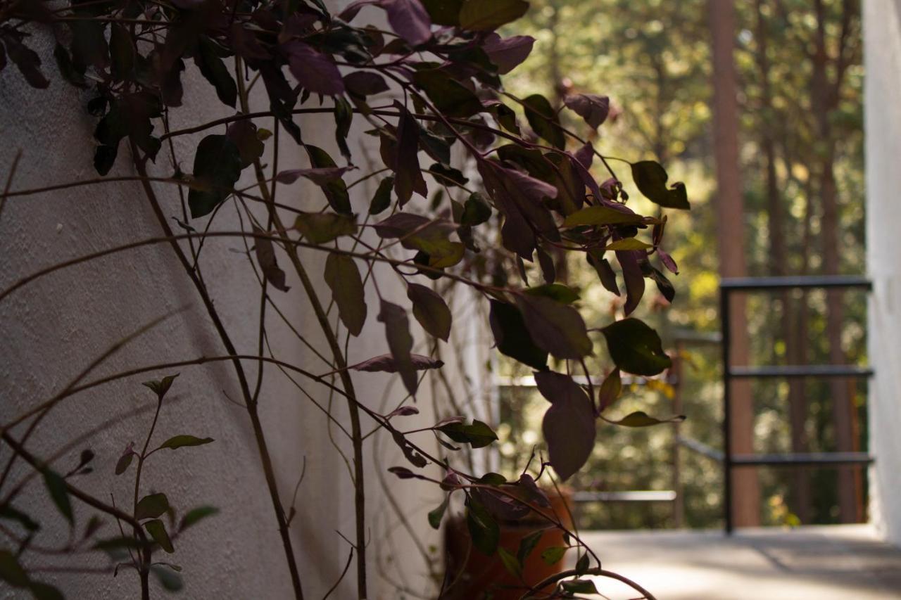 Willa Encino House Valle de Bravo Zewnętrze zdjęcie
